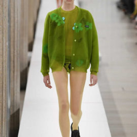 Miu Miu Fall 2023 Ready-to-Wear Collection (35)