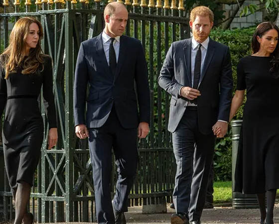 Prince William, Kate, Prince Harry and Meghan