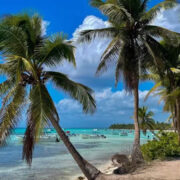 the Dominican Republic