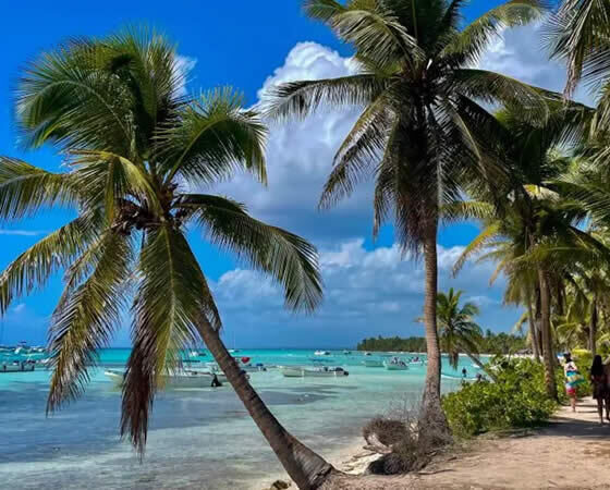 the Dominican Republic